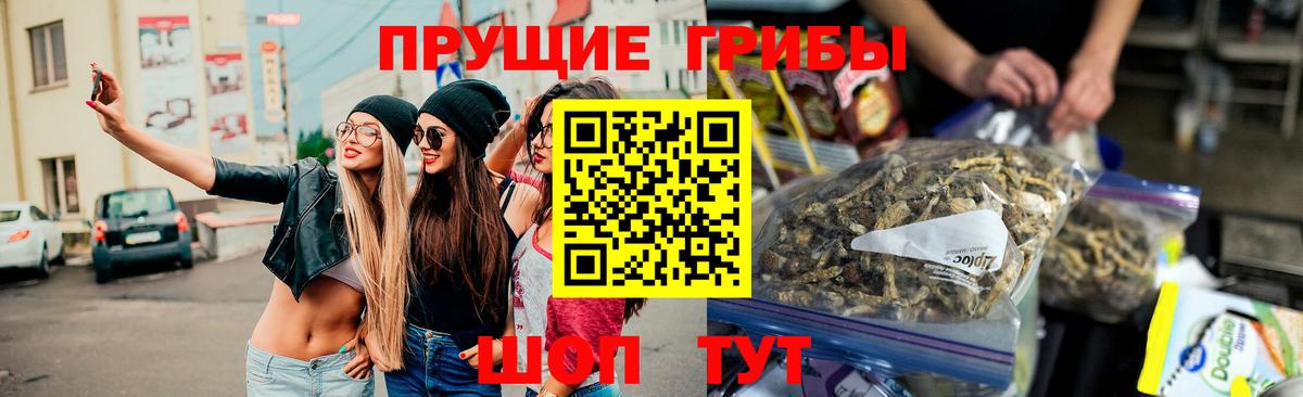 Псилоцибиновые грибы Magic Shrooms Ставрополь