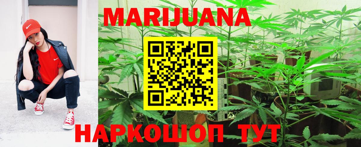 Бошки Шишки тримм Ставрополь